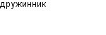 дружинник
