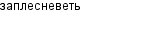 заплесневеть