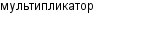 мультипликатор
