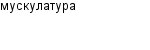 мускулатура