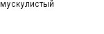 мускулистый